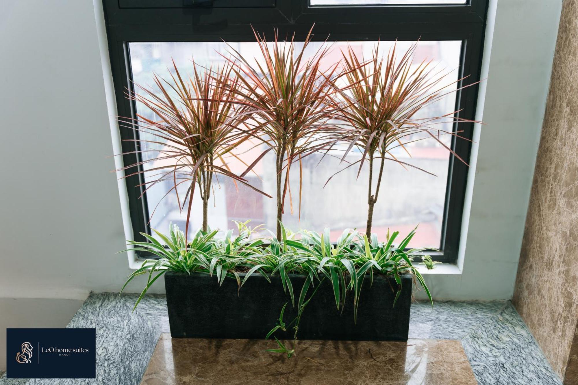 High-Ser Apartment -2Br - Niceview - Parking - Spacious - In Center Hanoi Exterior foto